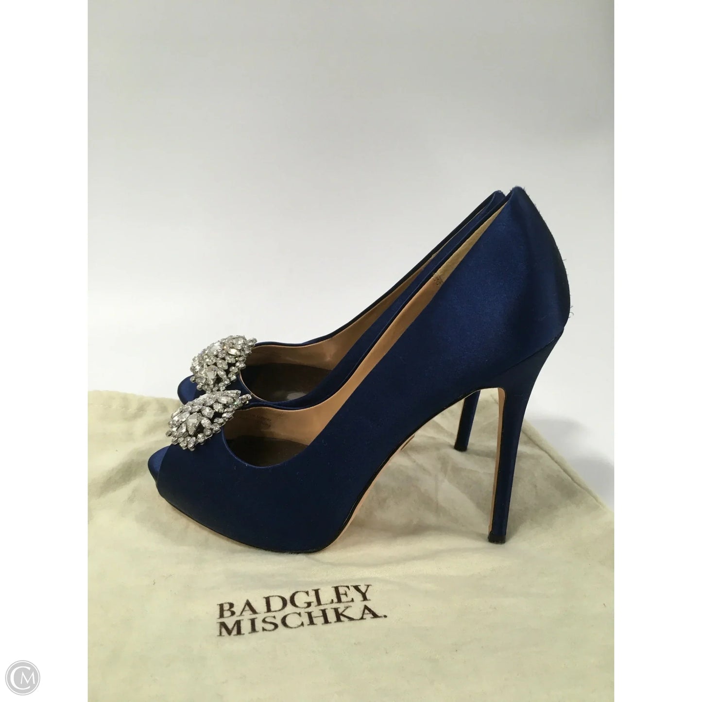 Shoes Heels Platform By Badgley Mischka In Blue, Size: 7