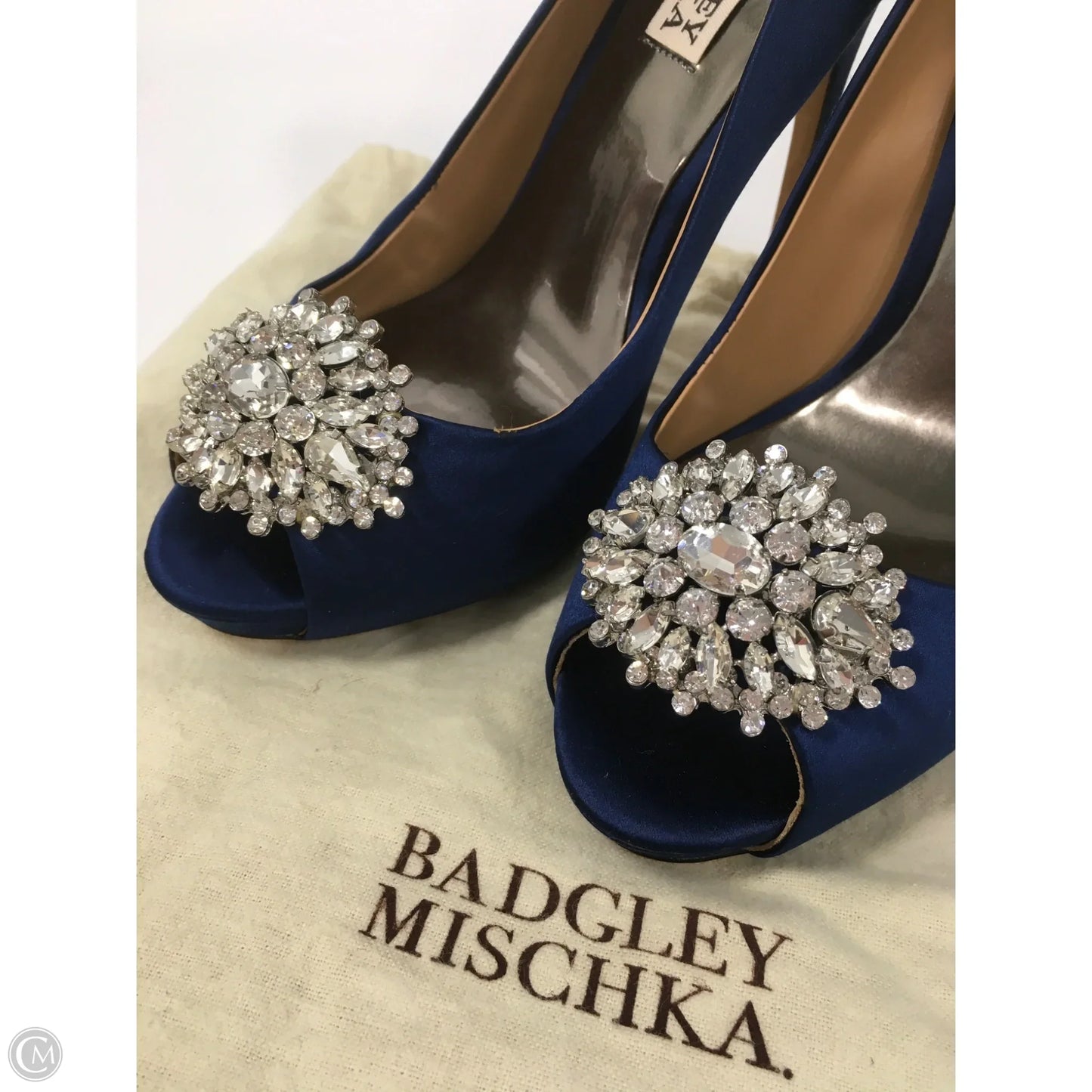 Shoes Heels Platform By Badgley Mischka In Blue, Size: 7