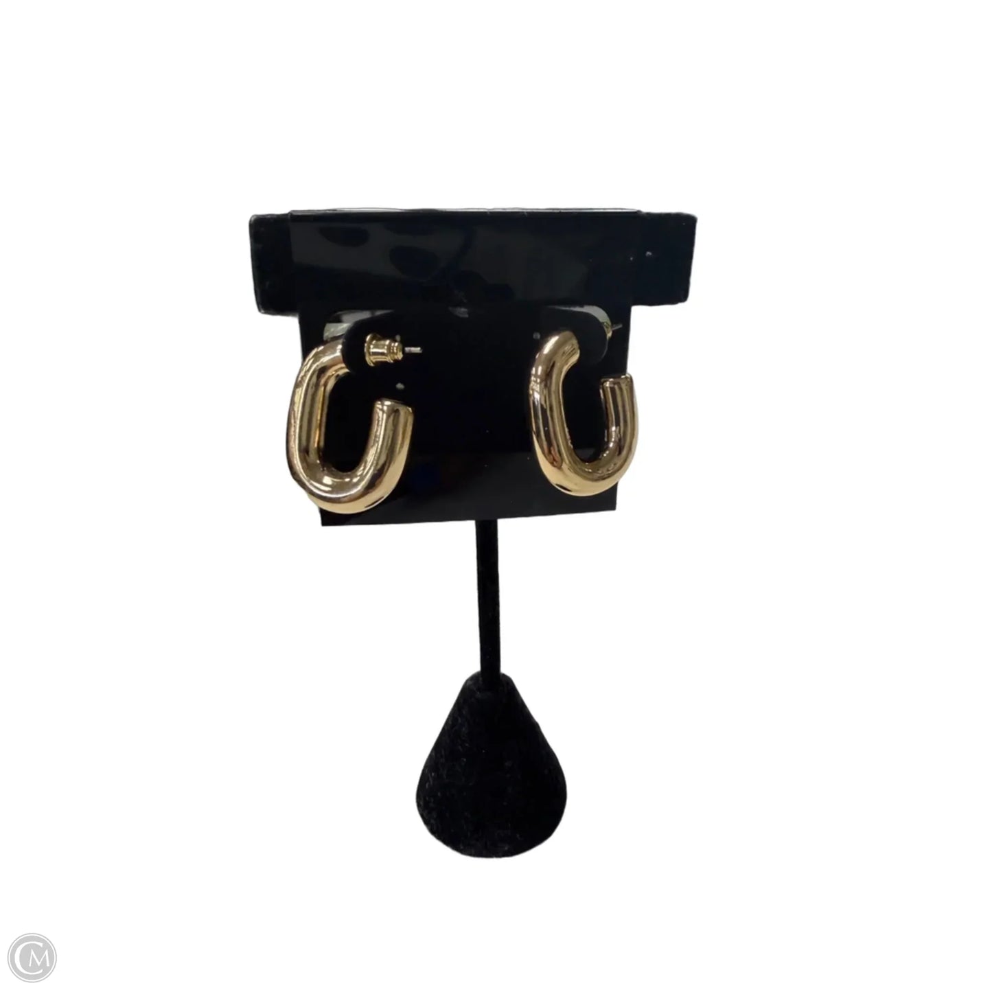 Earrings Hoop