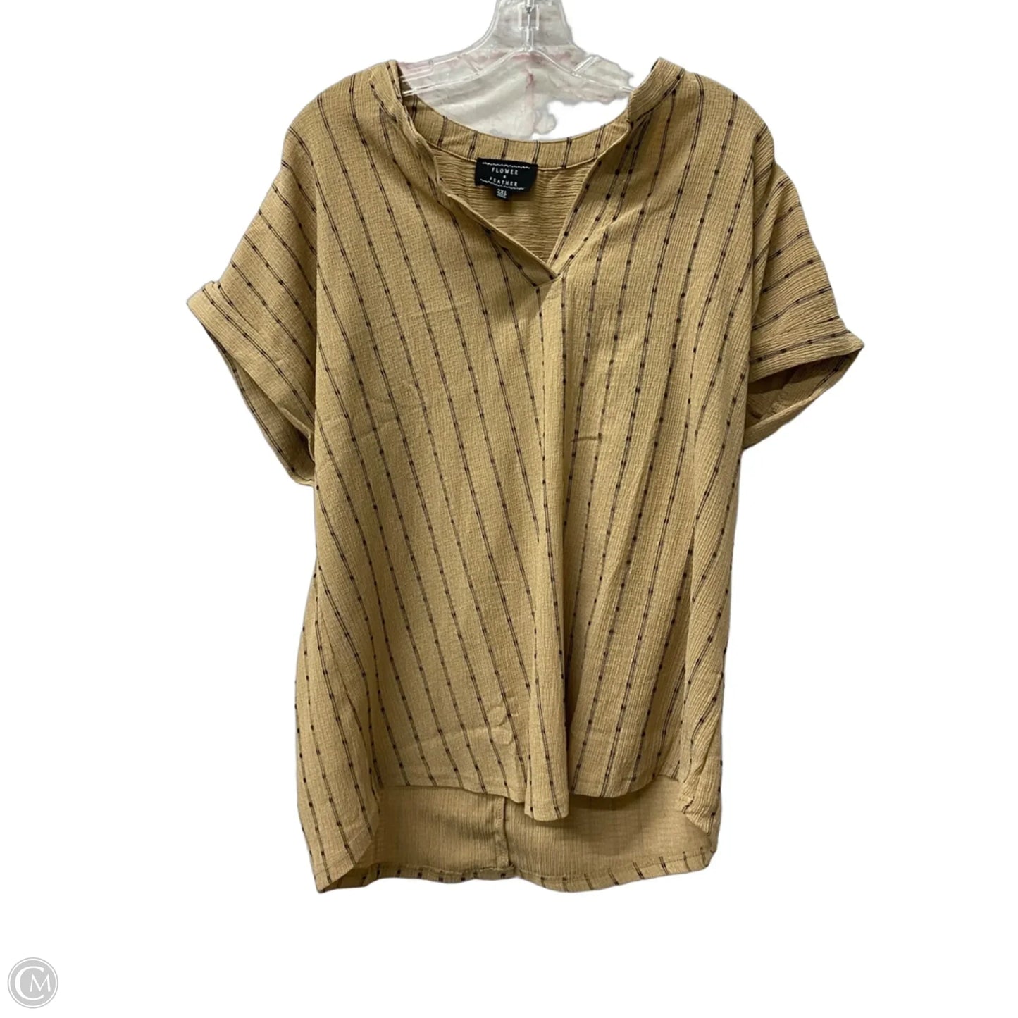 Top Short Sleeve By Flower and Feathers  In Brown, Size: 2x