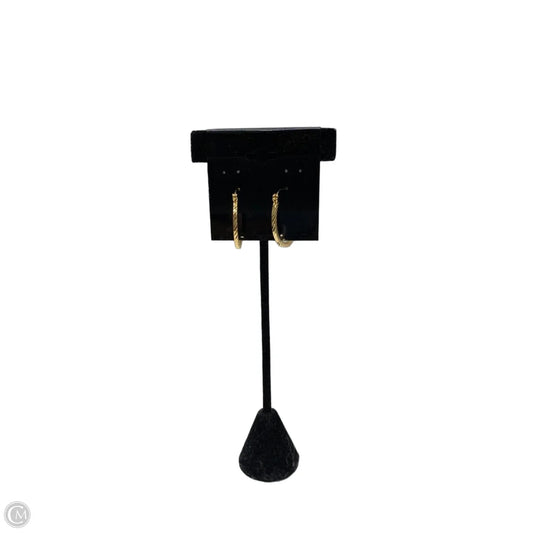 Earrings Hoop