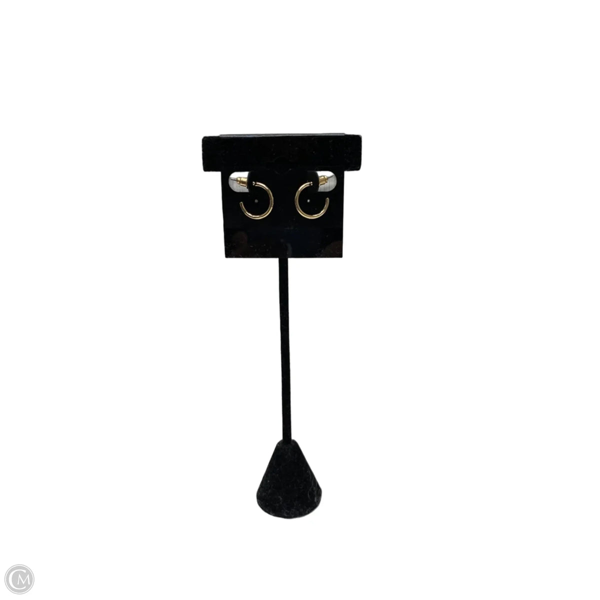 Earrings Hoop
