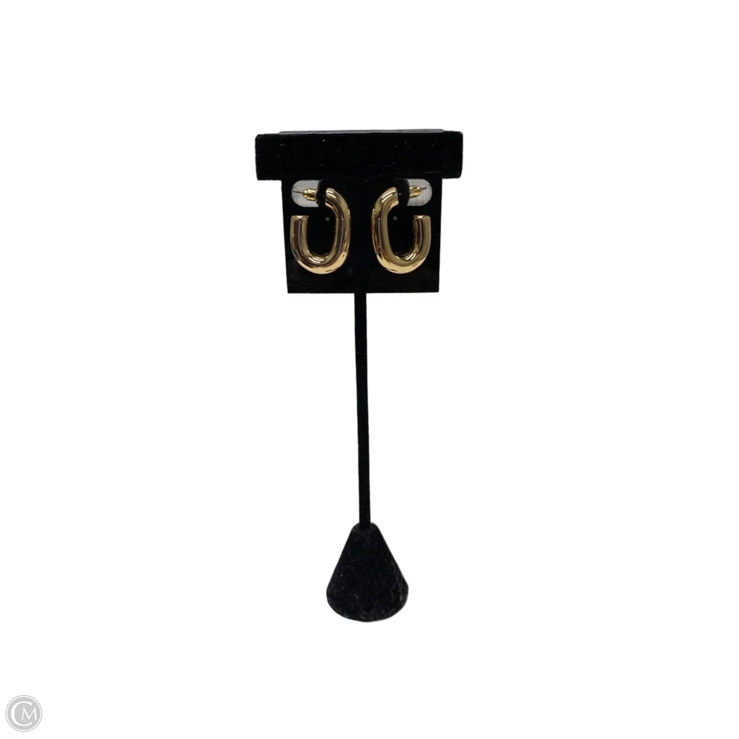 Earrings Hoop