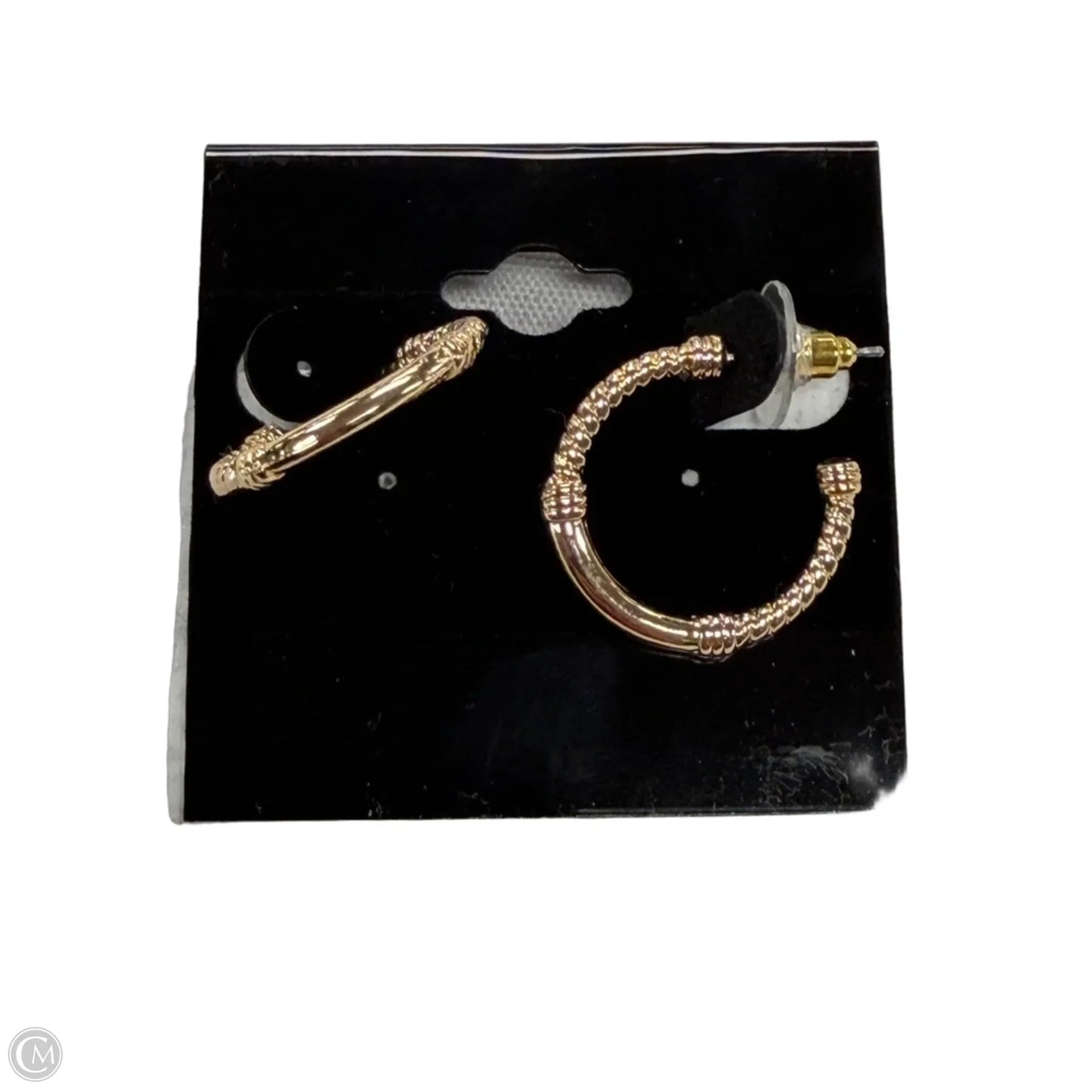 Earrings Hoop By Cme