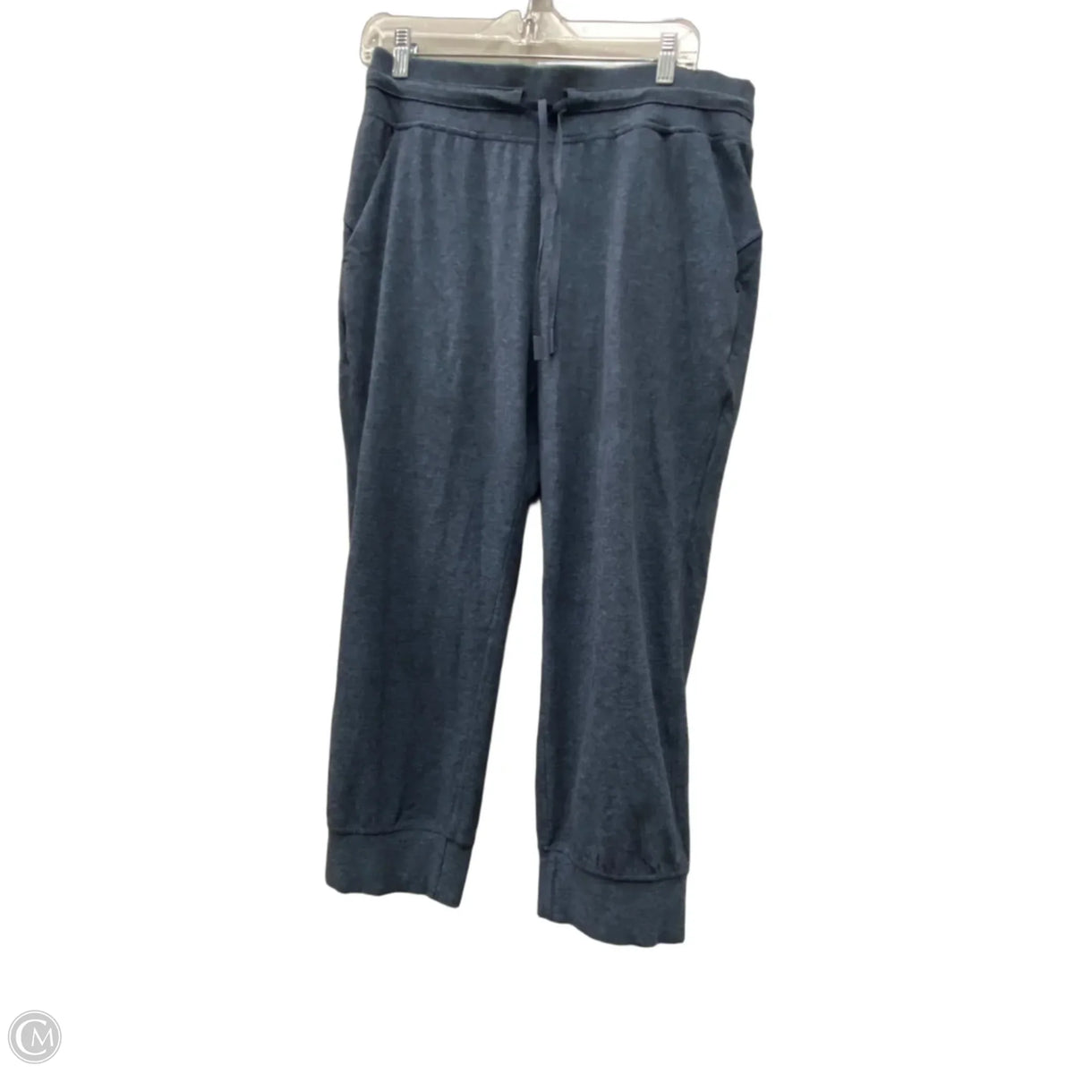 Athletic Pants By Lululemon In Blue, Size: 12