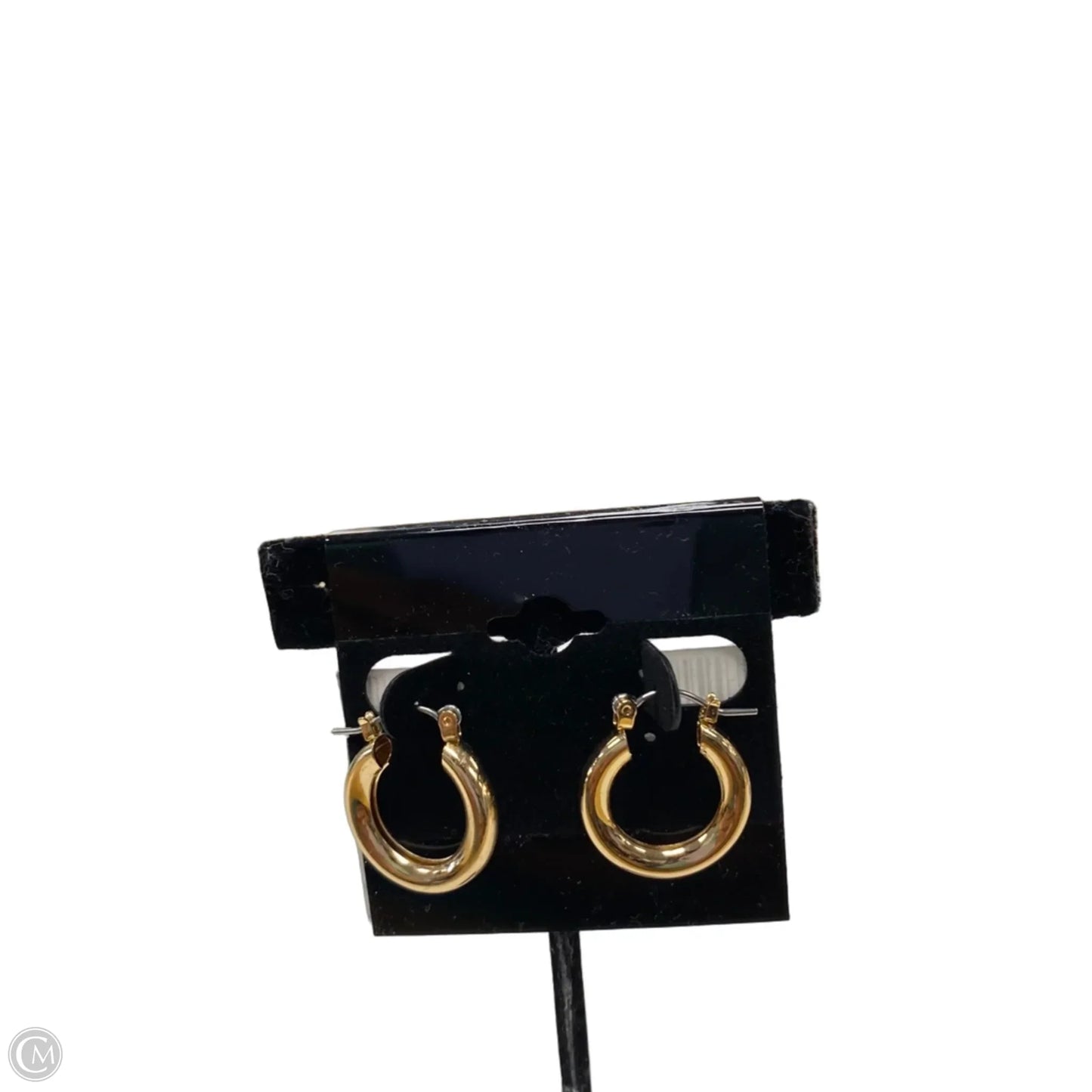 Earrings Hoop