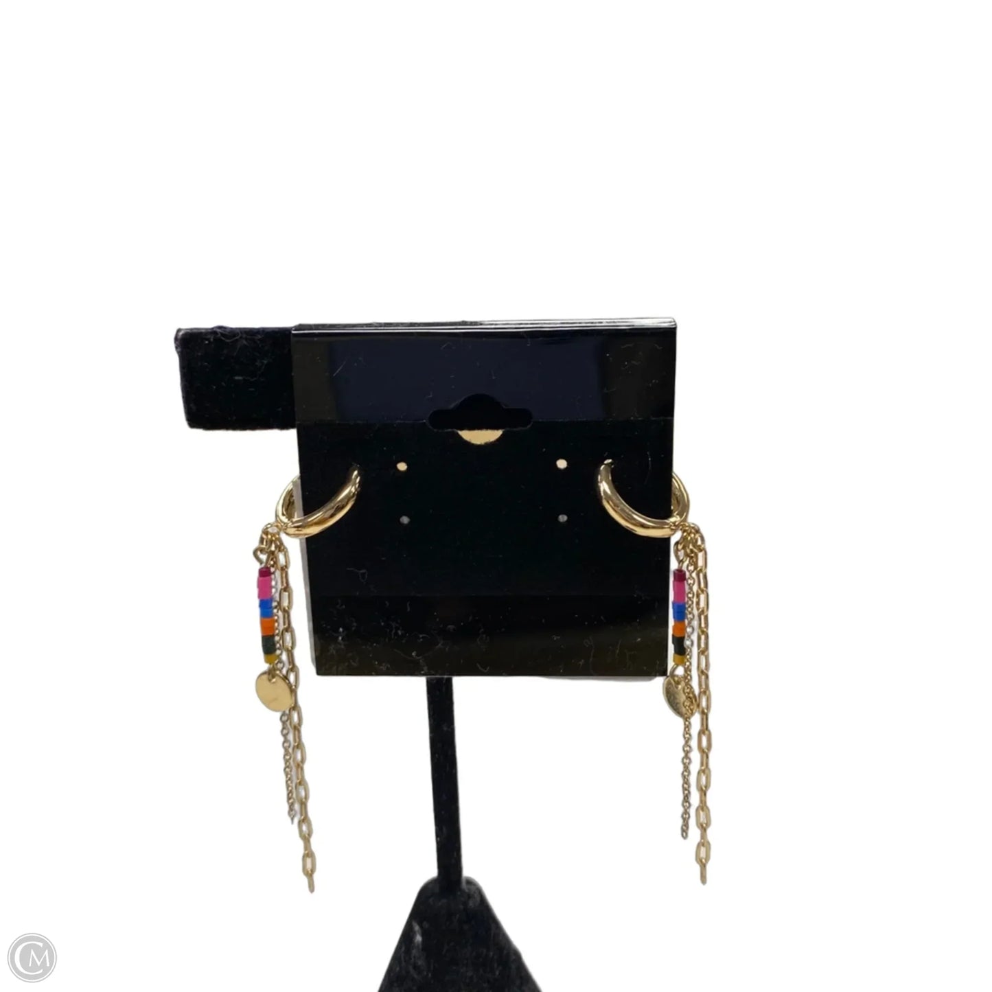 Earrings Other