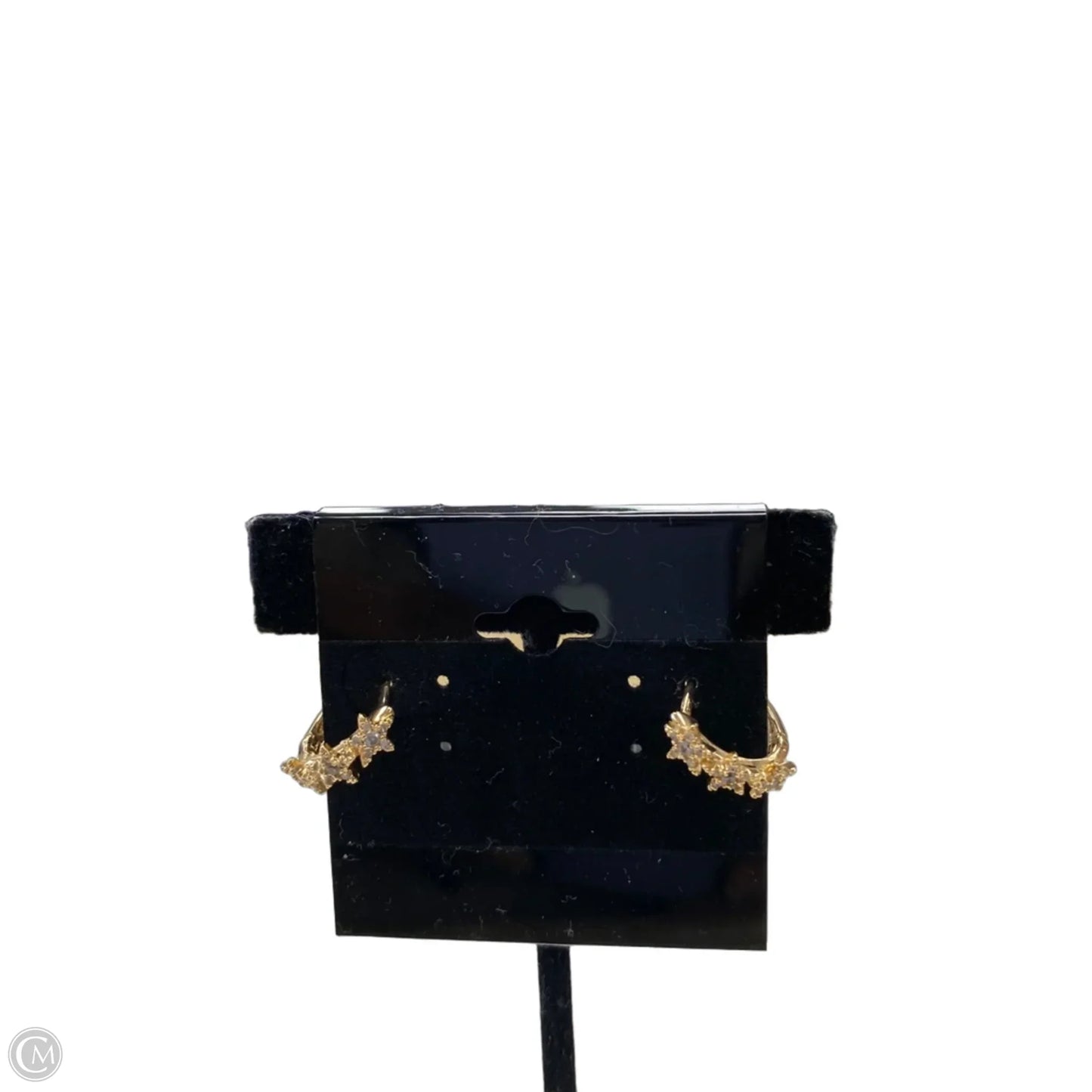 Earrings Other