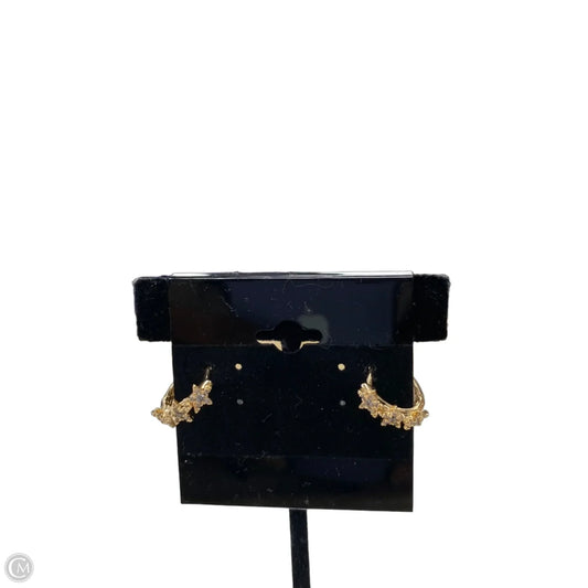 Earrings Other