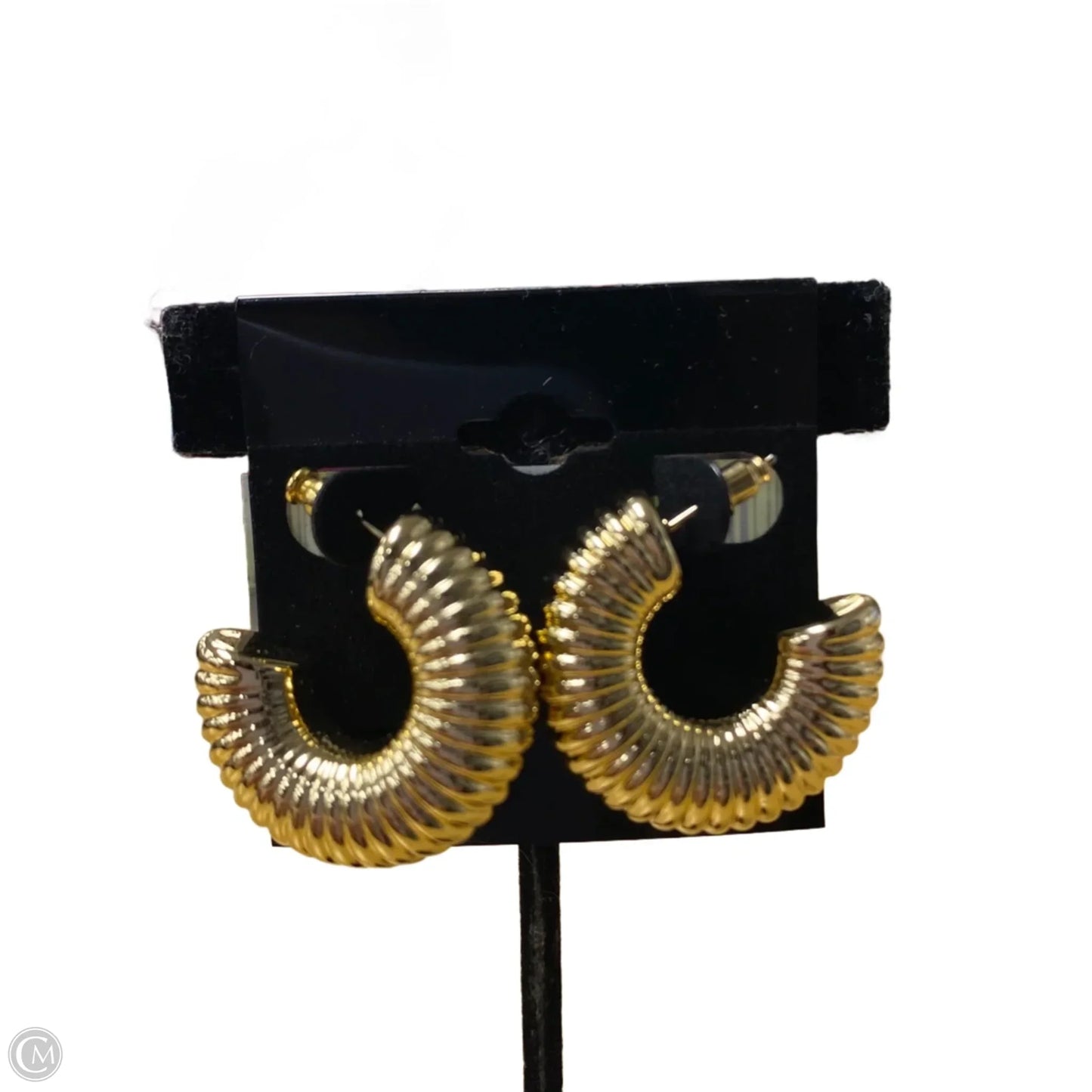 Earrings Hoop