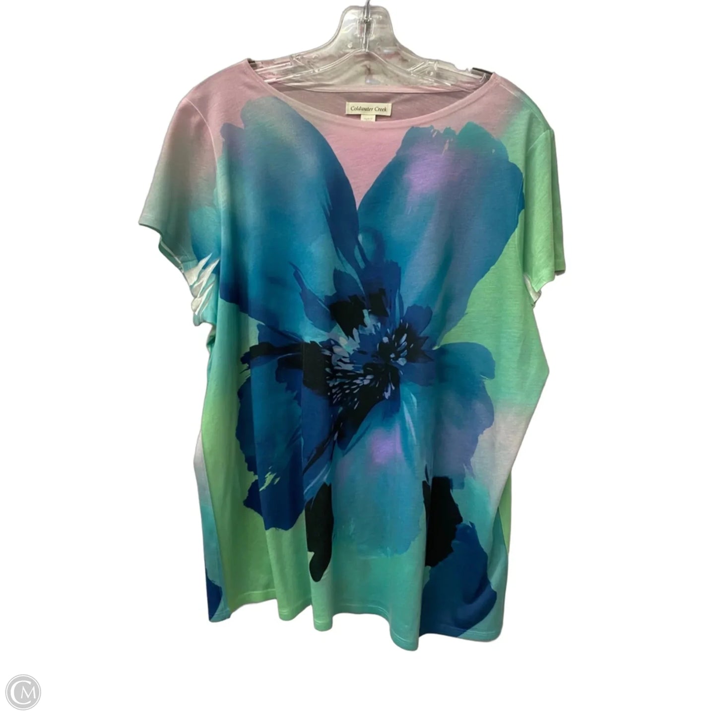 Top Short Sleeve By Coldwater Creek In Blue & Green, Size: 1x