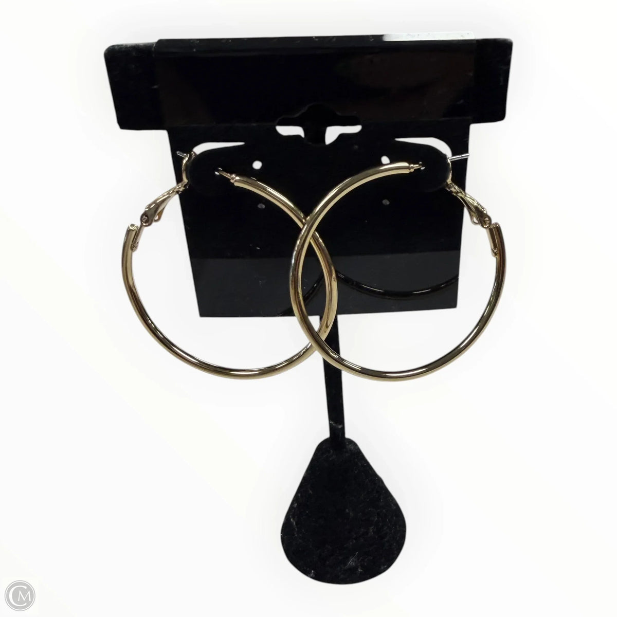 Earrings Hoop