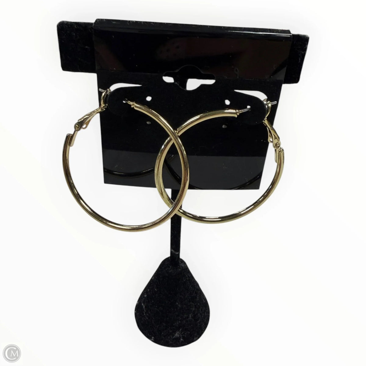 Earrings Hoop