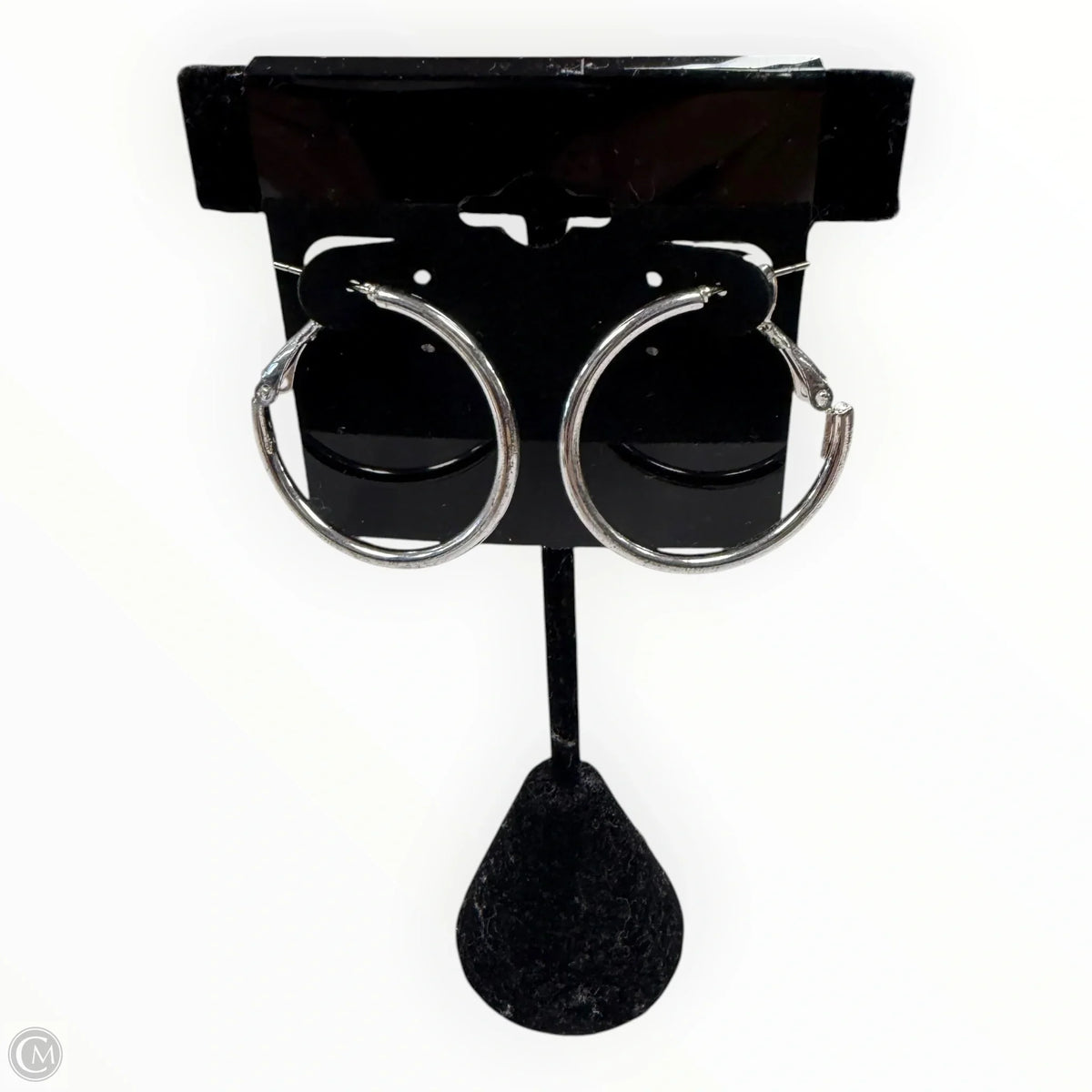 Earrings Hoop