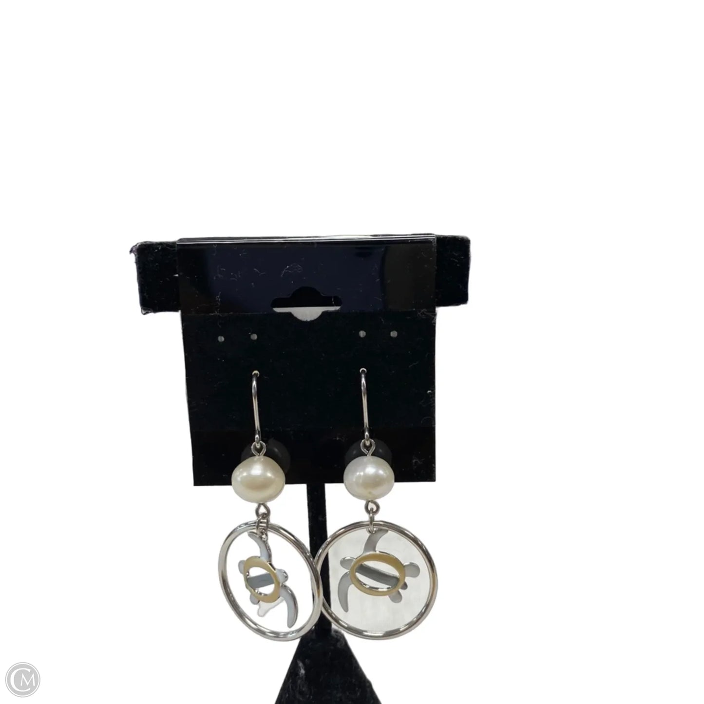 Earrings Dangle/drop