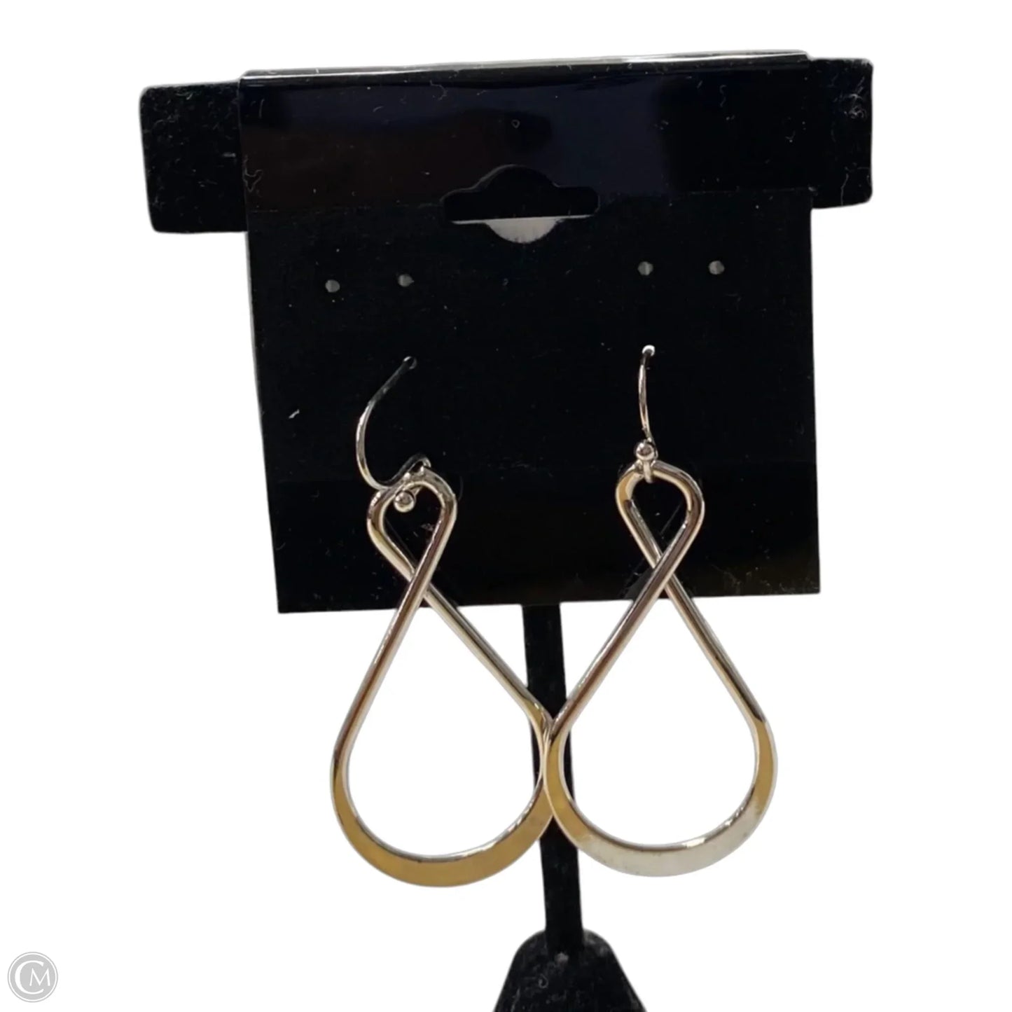 Earrings Other