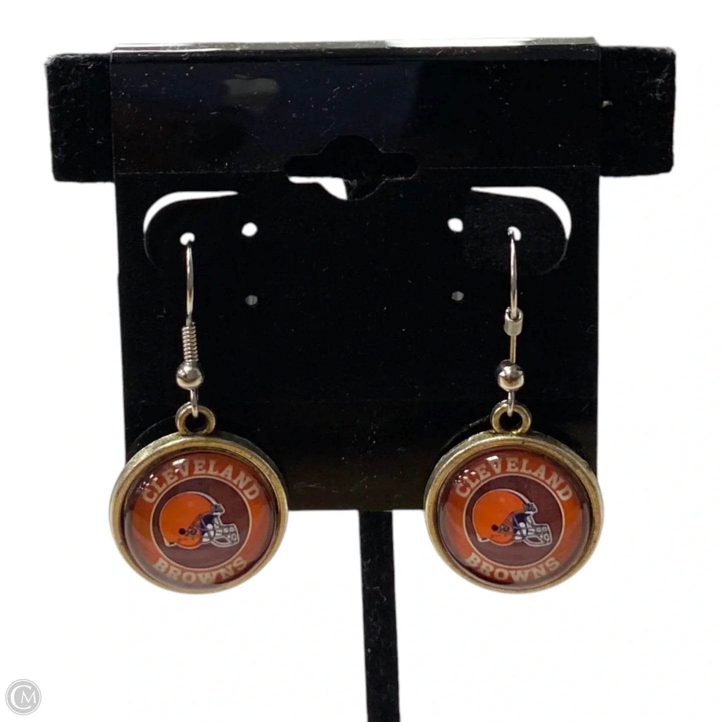 Earrings Dangle/drop