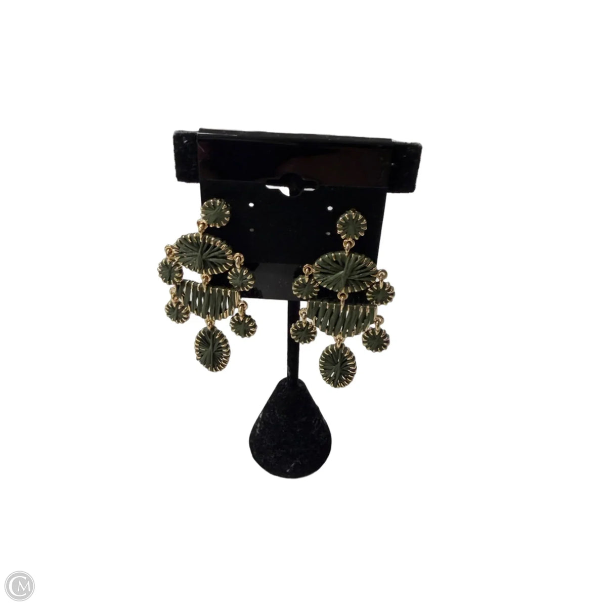 Earrings Dangle/drop