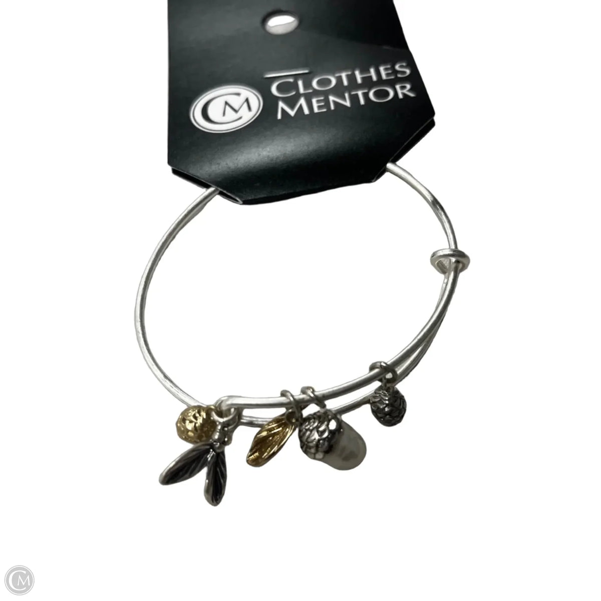 Bracelet Charm