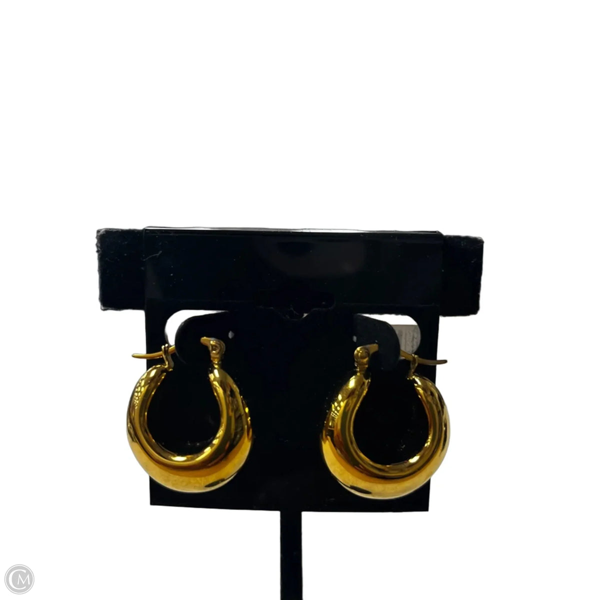 Earrings Hoop