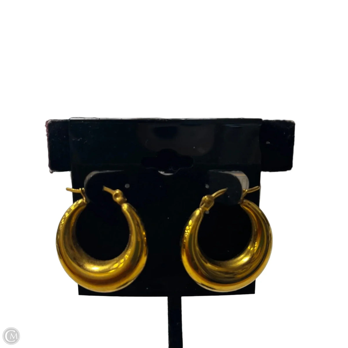 Earrings Hoop