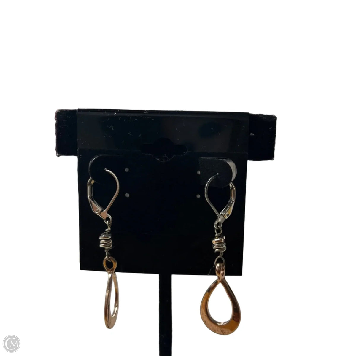 Earrings Dangle/drop