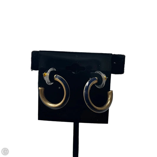 Earrings Hoop