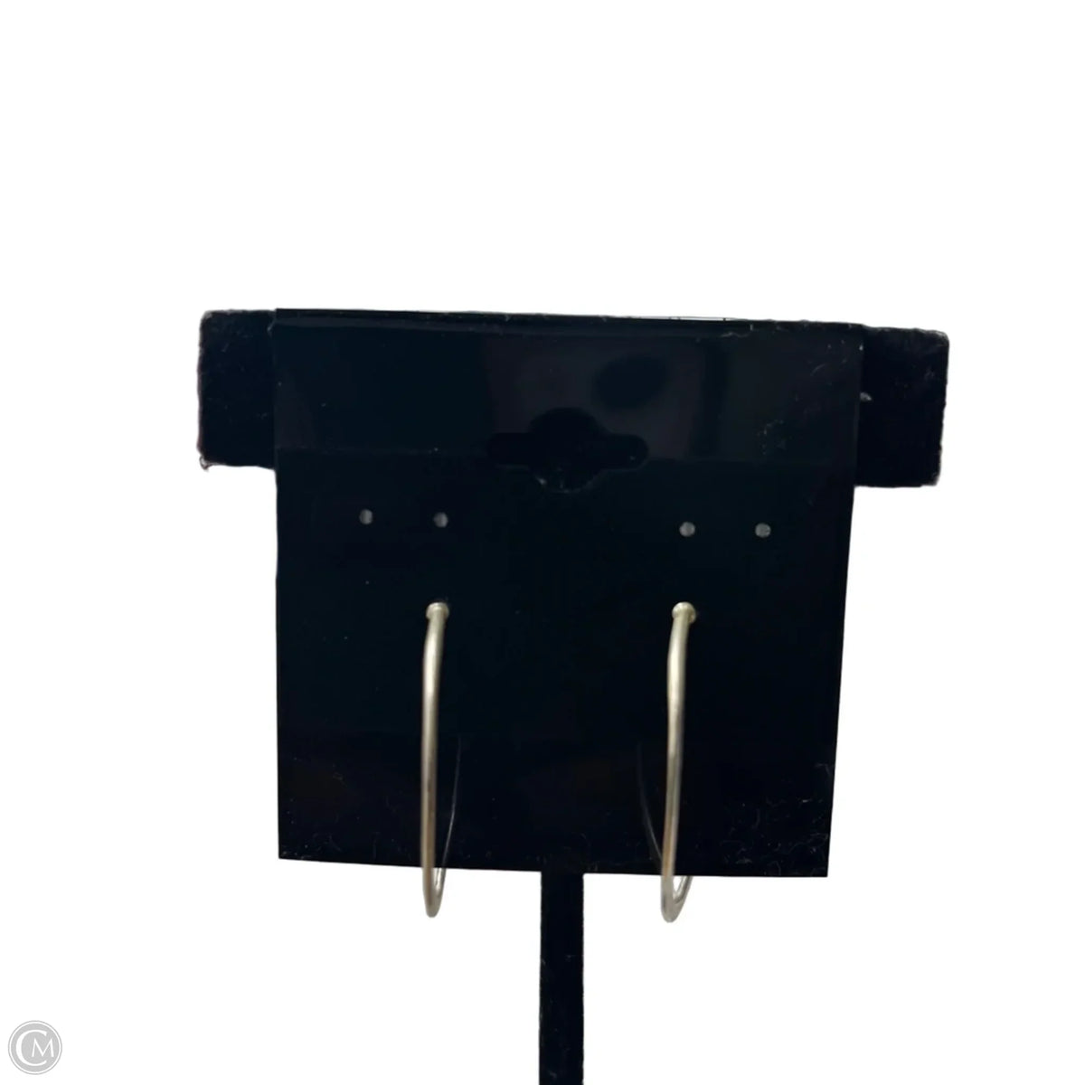 Earrings Hoop