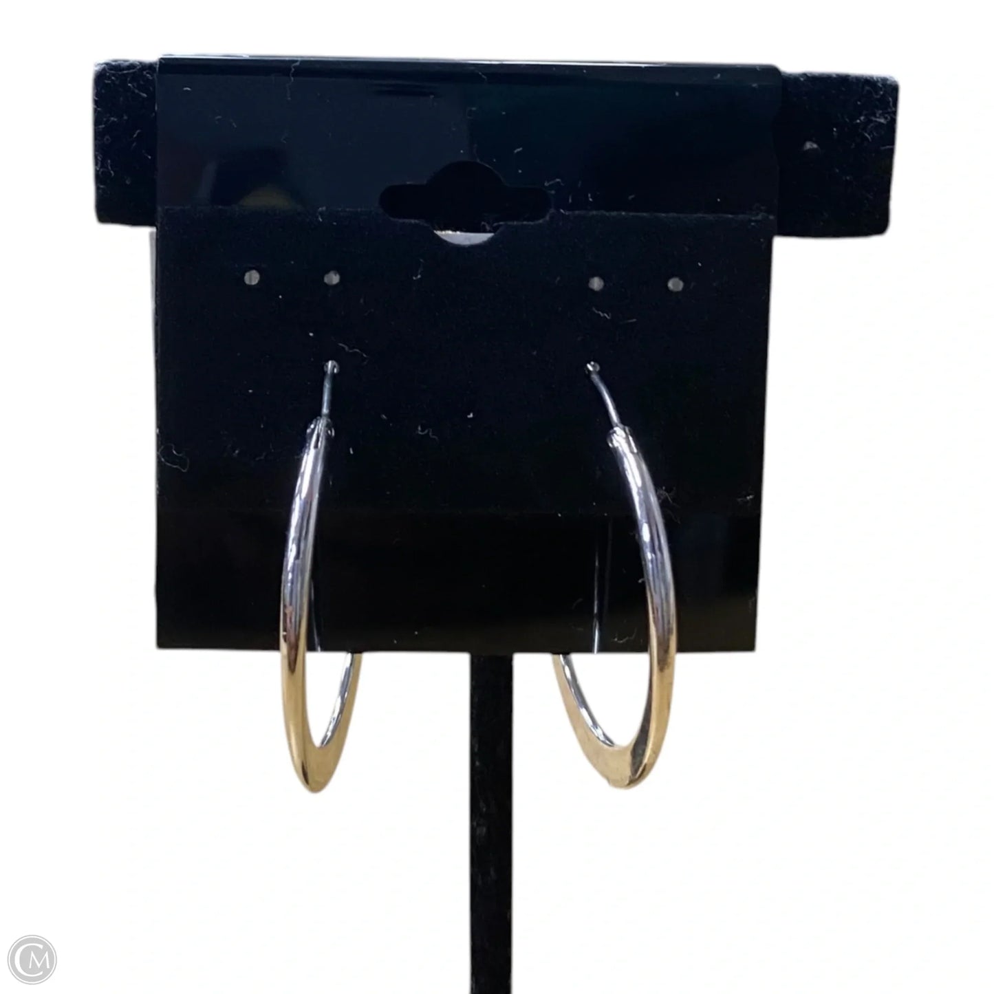 Earrings Hoop