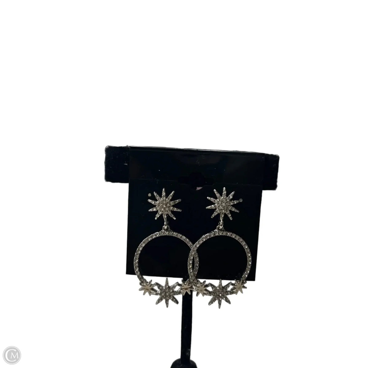 Earrings Hoop