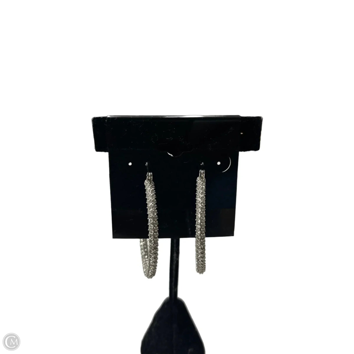 Earrings Hoop By Express