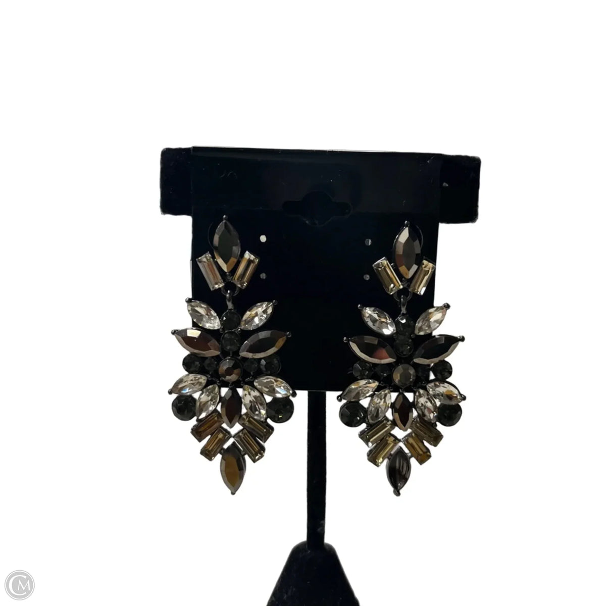Earrings Dangle/drop By Express