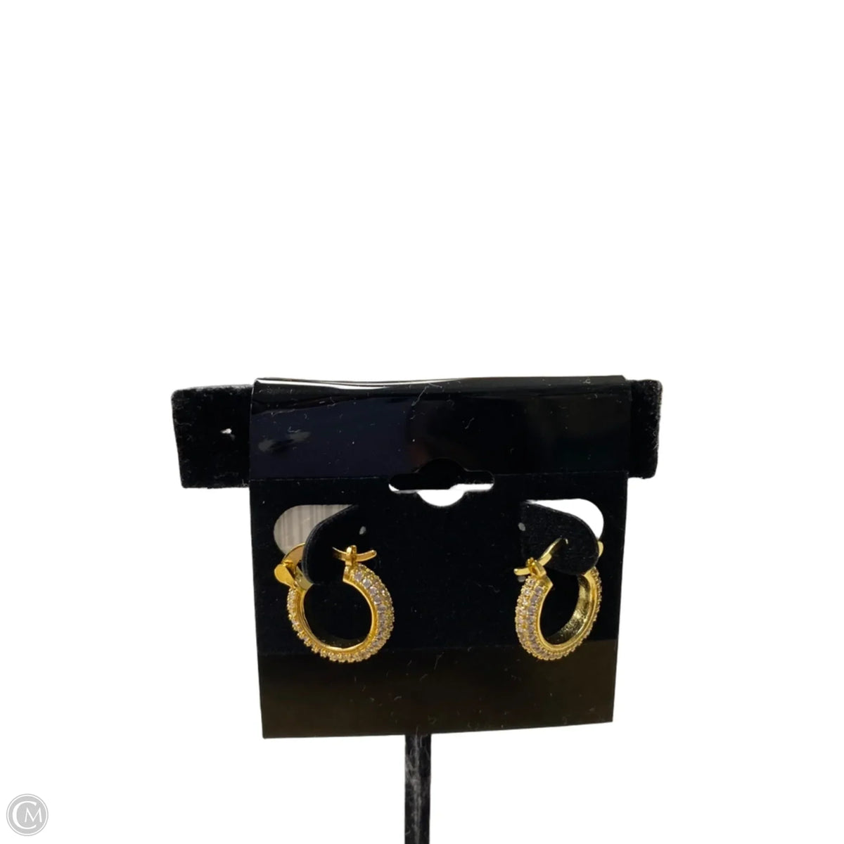 Earrings Hoop