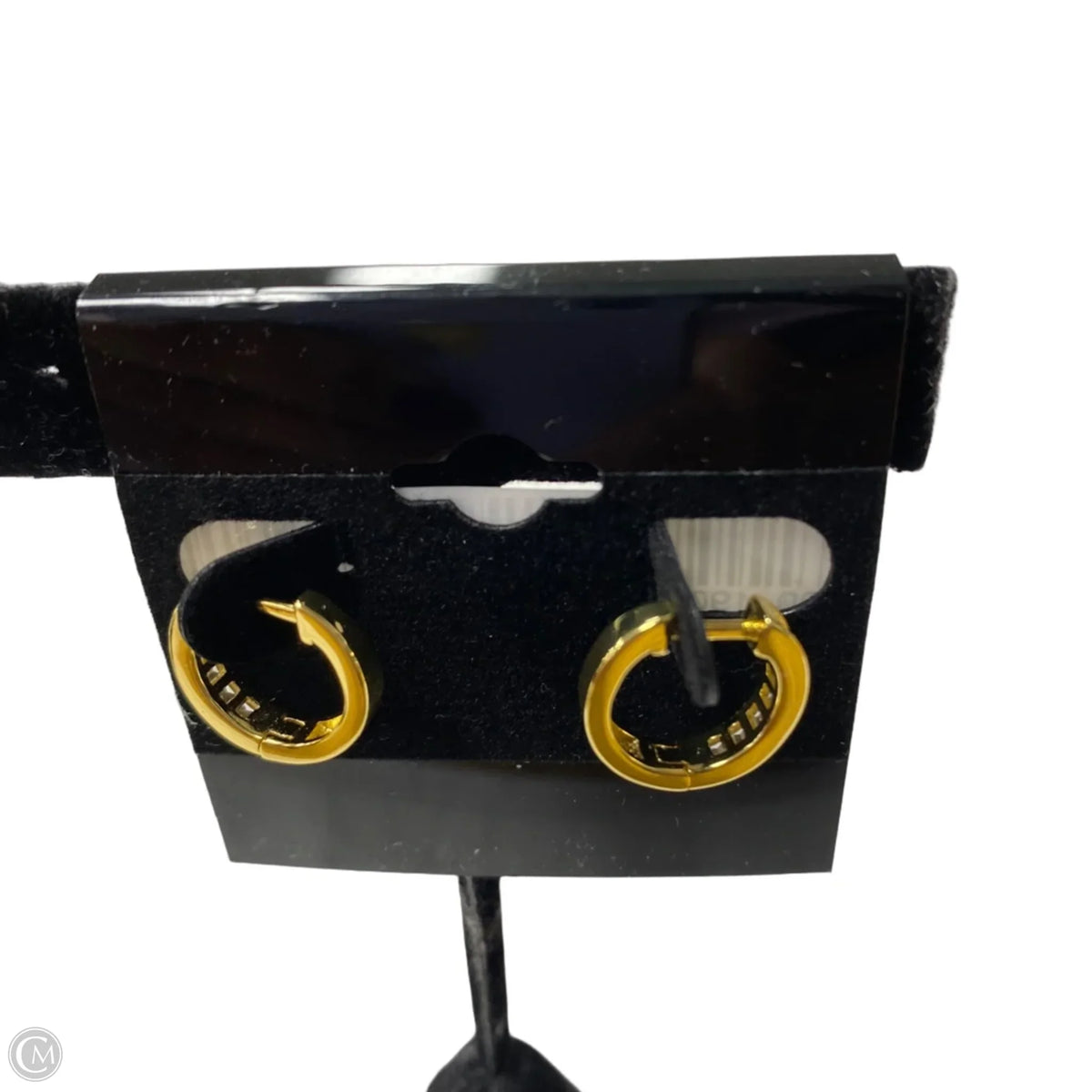 Earrings Hoop