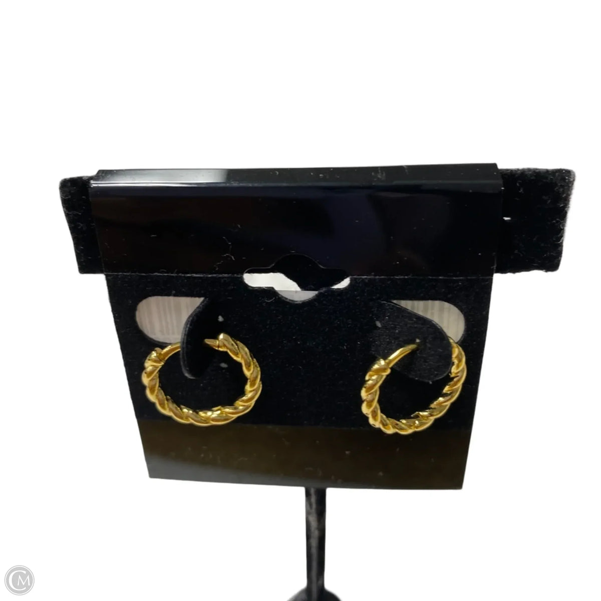 Earrings Hoop