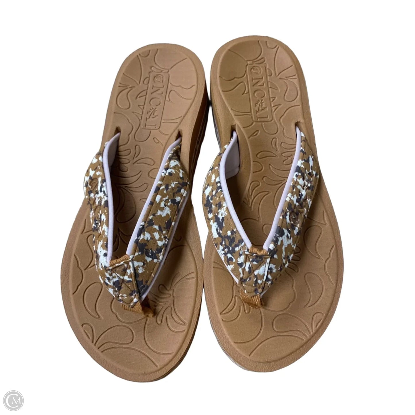 Sandals Flip Flops By Cme In Brown, Size: 6