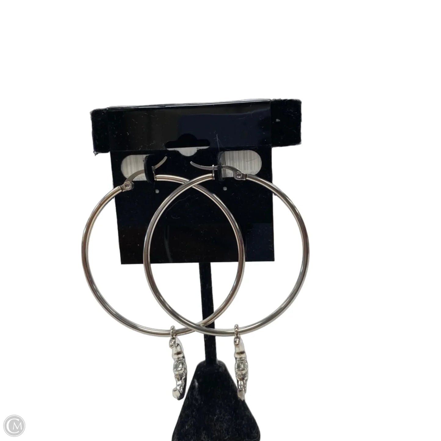 Earrings Hoop