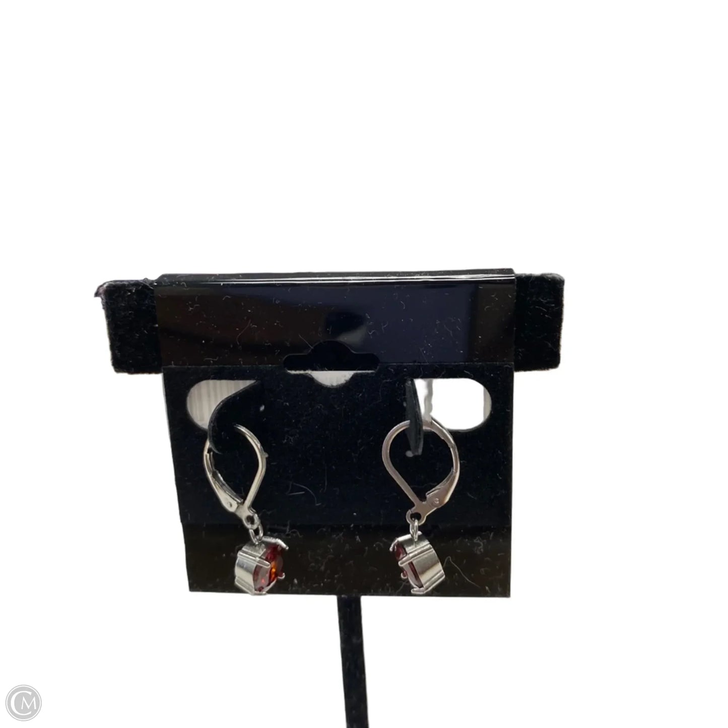 Earrings Dangle/drop