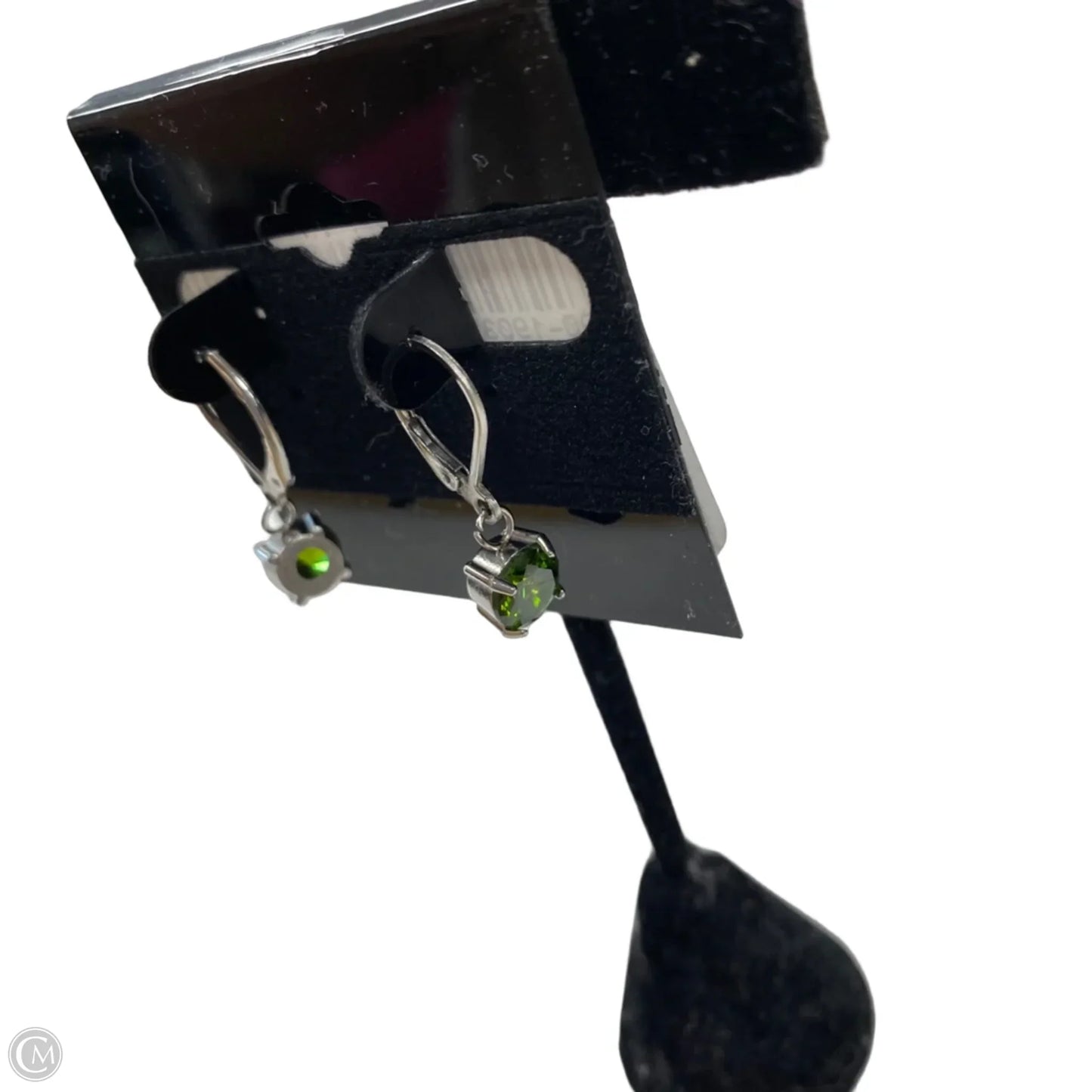 Earrings Dangle/drop