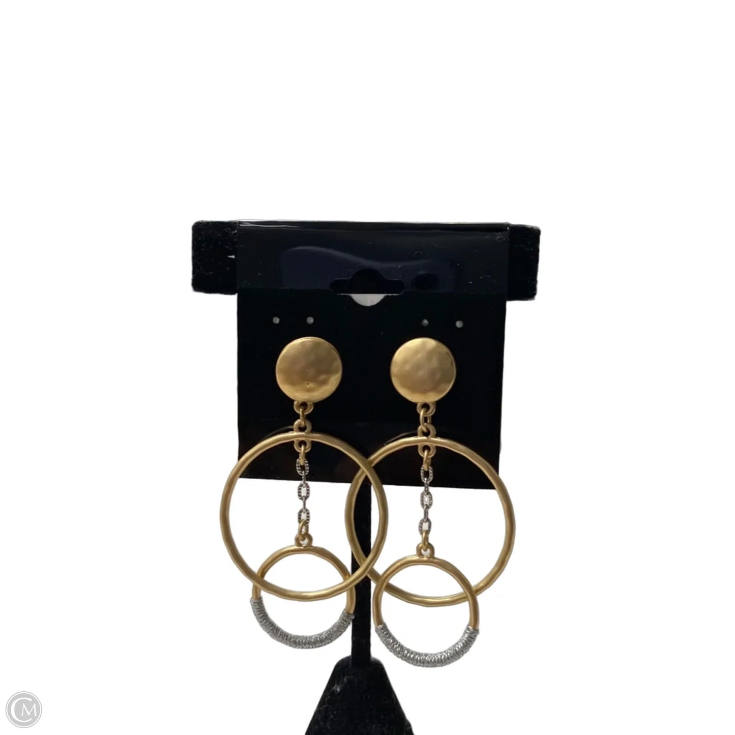 Earrings Hoop
