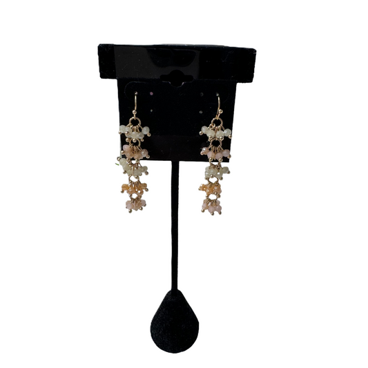 Earrings Dangle/drop