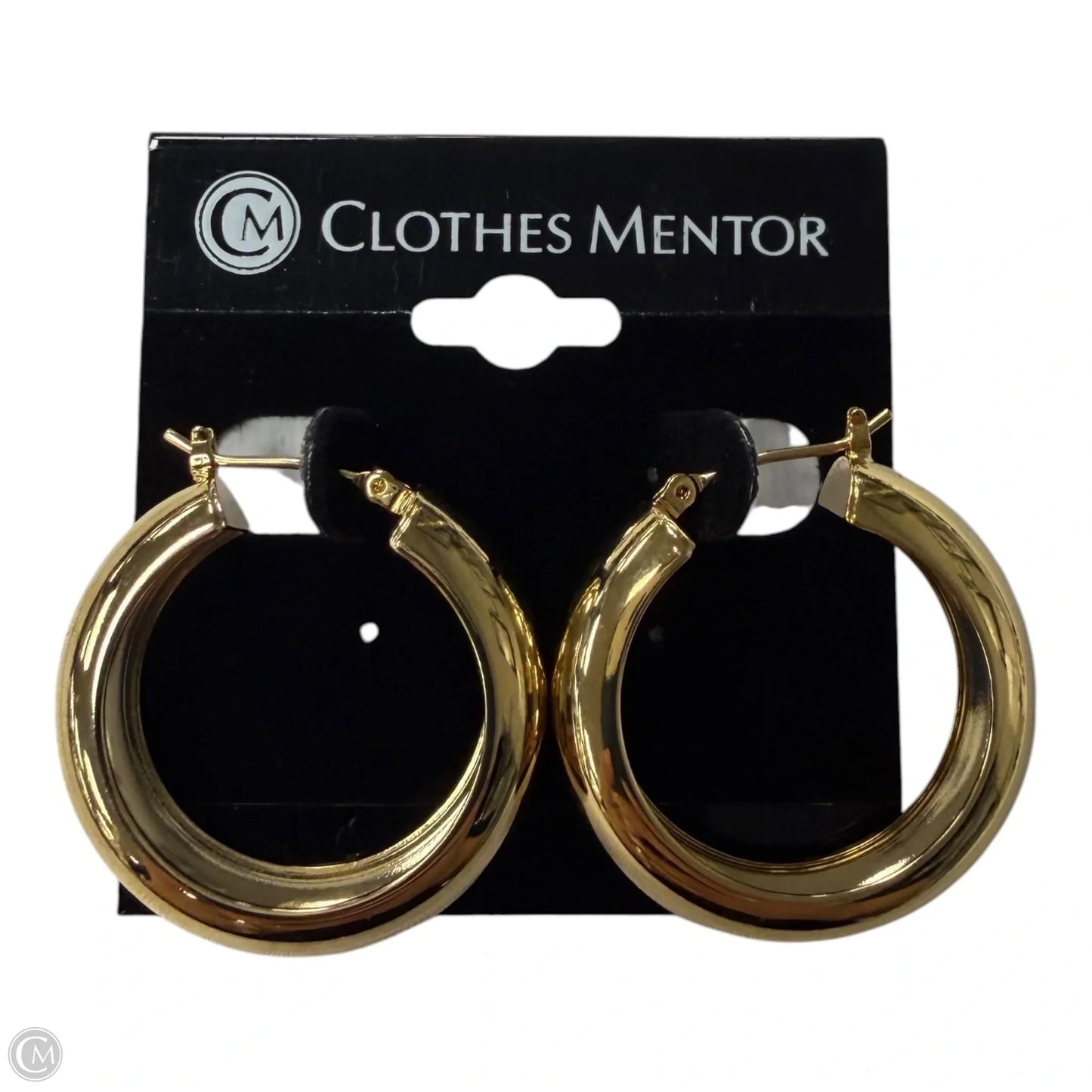 Earrings Hoop By Clothes Mentor