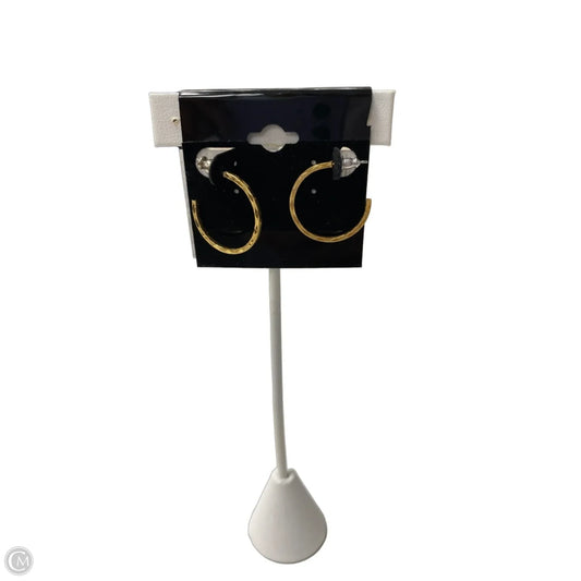 Earrings Hoop