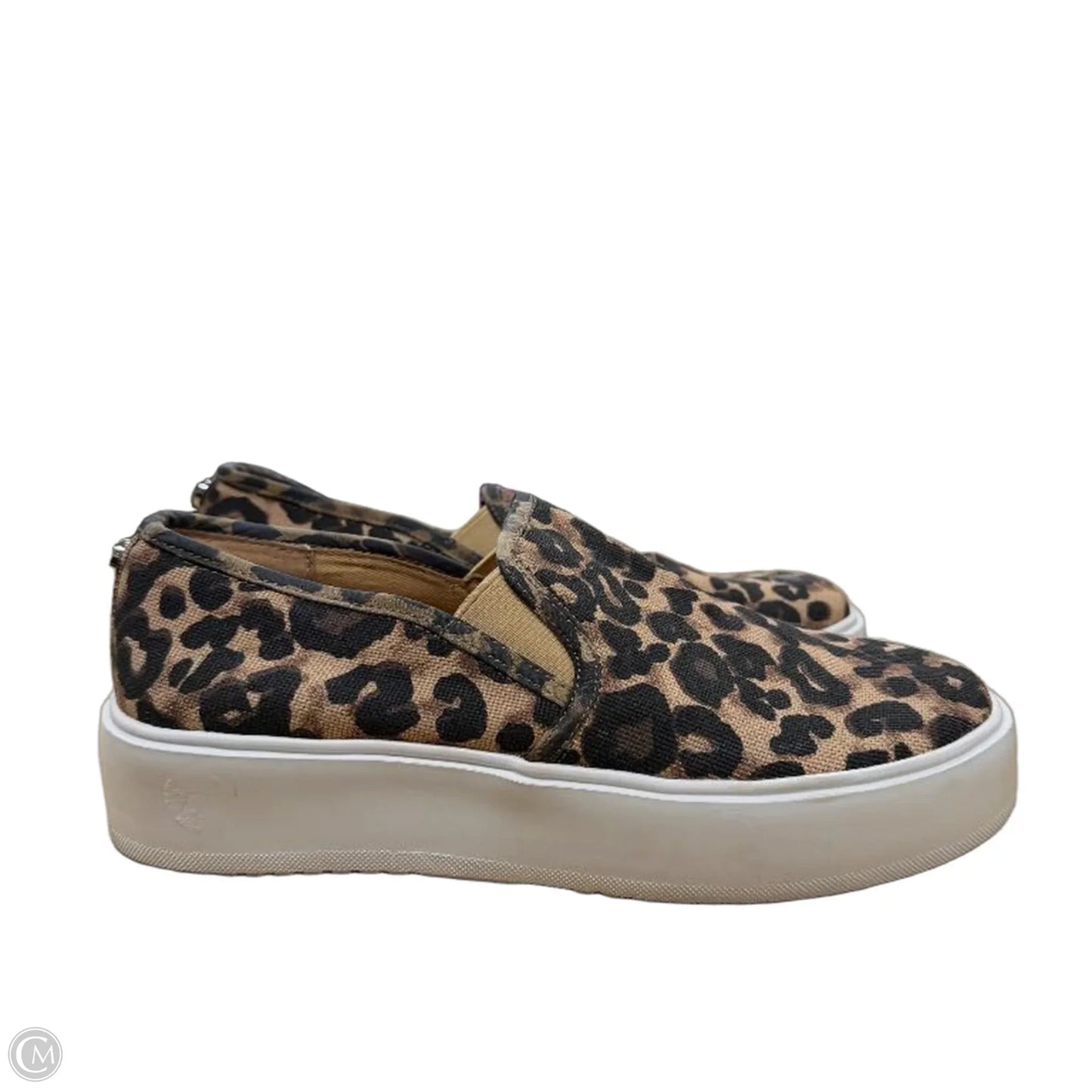 Shoes Flats By Steve Madden In Brown, Size: 8.5