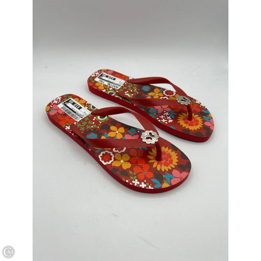 Sandals Flip Flops By Brighton In Red, Size: 9