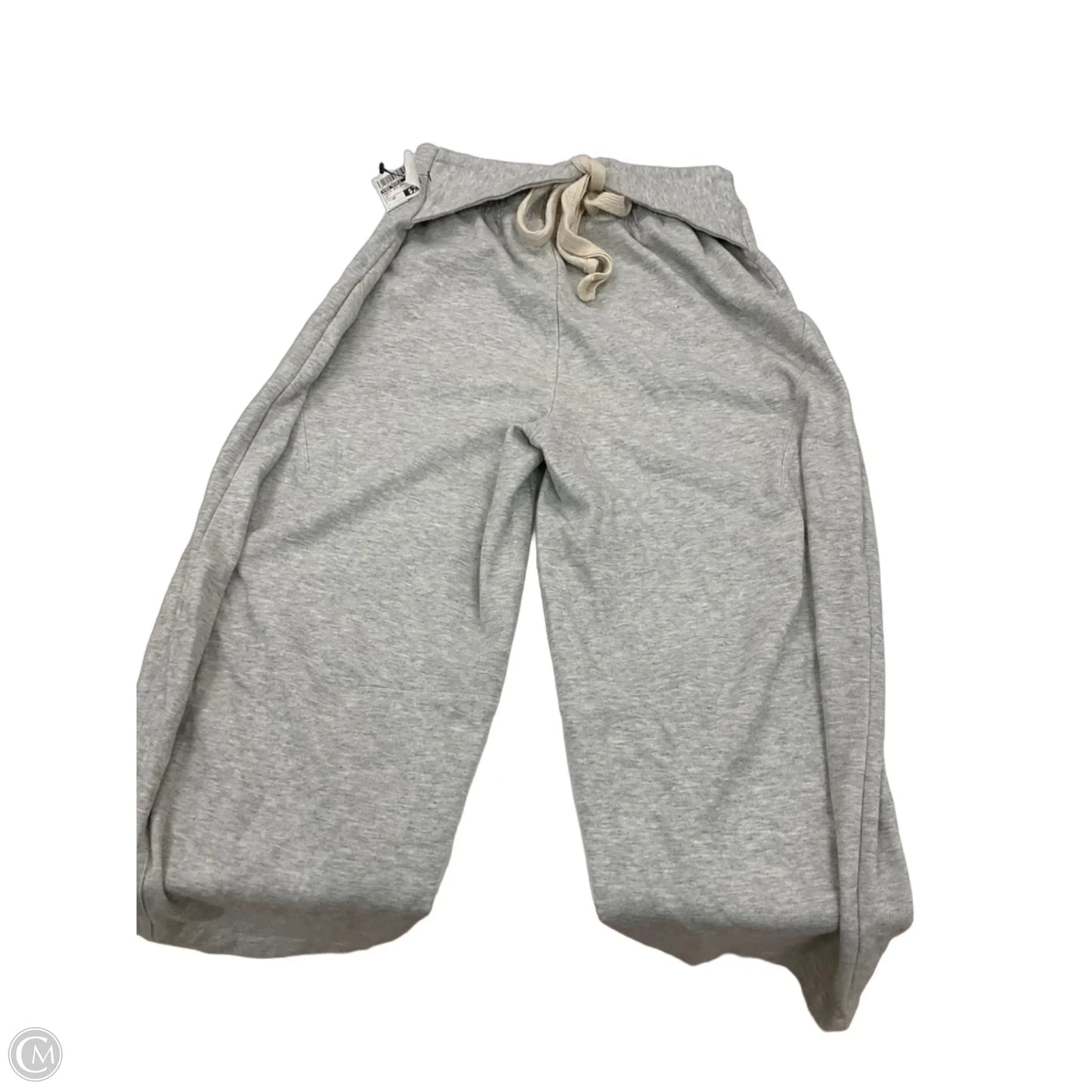 Pants Set 2pc By Free People In Grey, Size: Sp