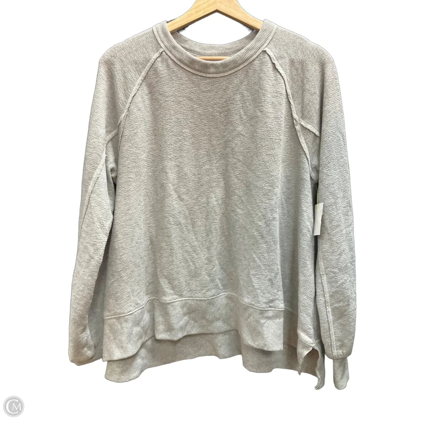 Sweatshirt Crewneck By Aerie In Grey, Size: Xxs