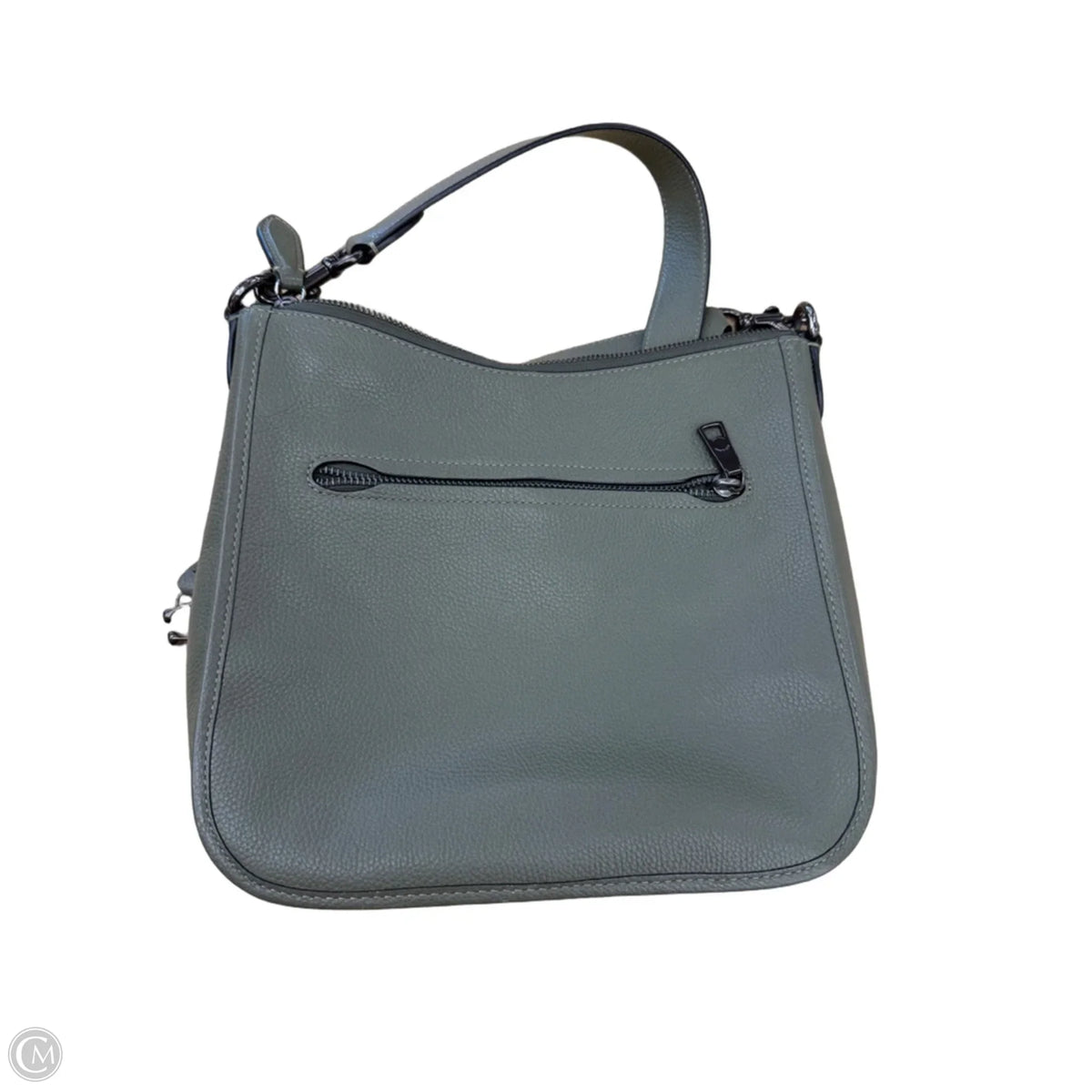 Crossbody Designer By Coach, Size: Large