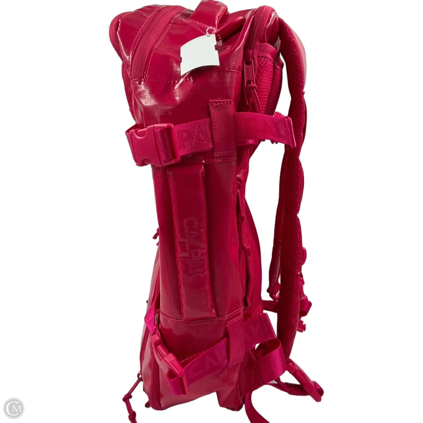 Backpack By Cma, Size: Large