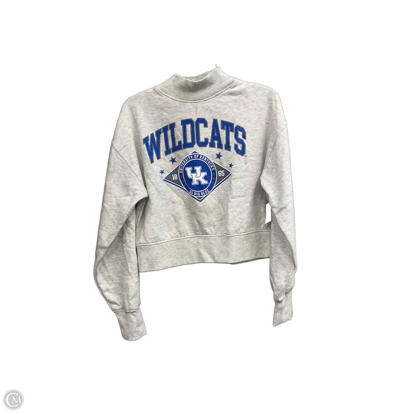 Sweatshirt Crewneck By Chicka-d In Grey, Size: M